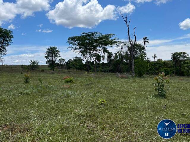 Fazenda para Venda em Caldas Novas - 4