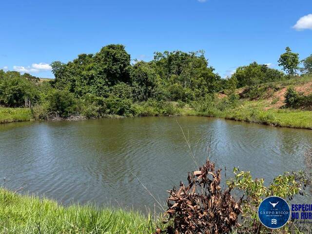 #3307 - Fazenda para Venda em Caldas Novas - GO