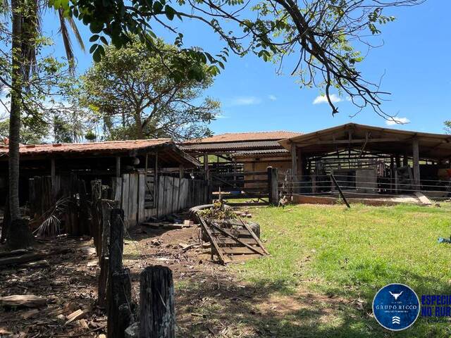Fazenda para Venda em Caldas Novas - 5