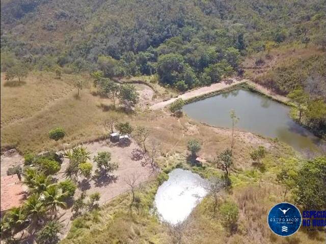 #3309 - Fazenda para Venda em São Miguel do Passa Quatro - GO