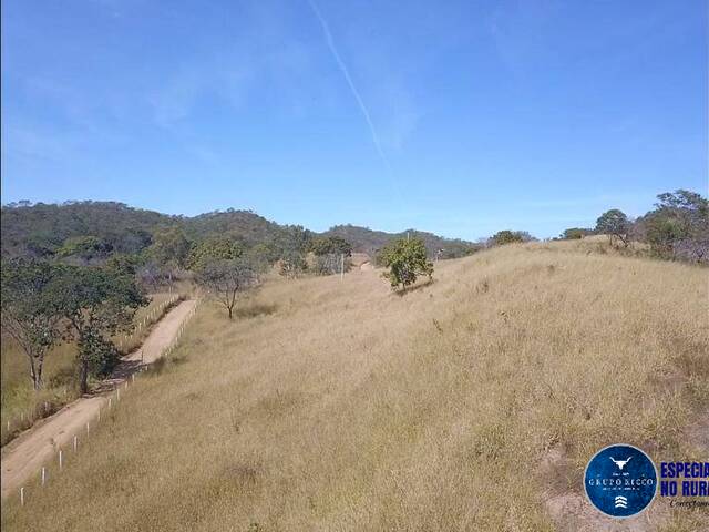#3309 - Fazenda para Venda em São Miguel do Passa Quatro - GO