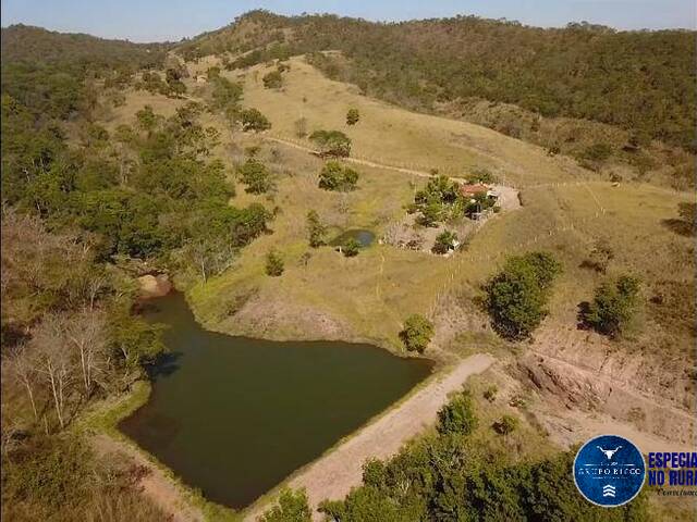 #3309 - Fazenda para Venda em São Miguel do Passa Quatro - GO