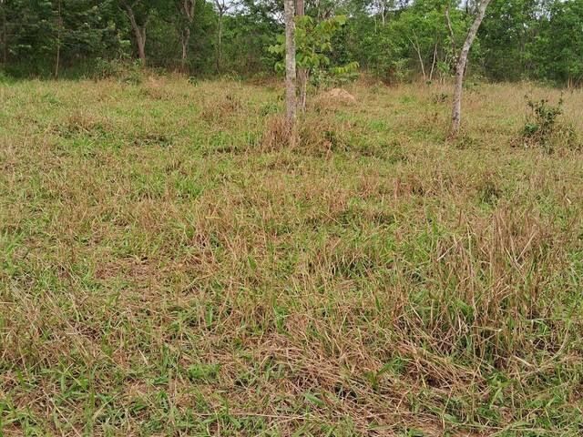 Venda em zona rural - Caldas Novas