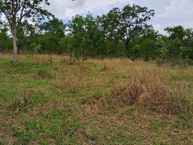 #3314 - Chácara para Venda em Caldas Novas - GO