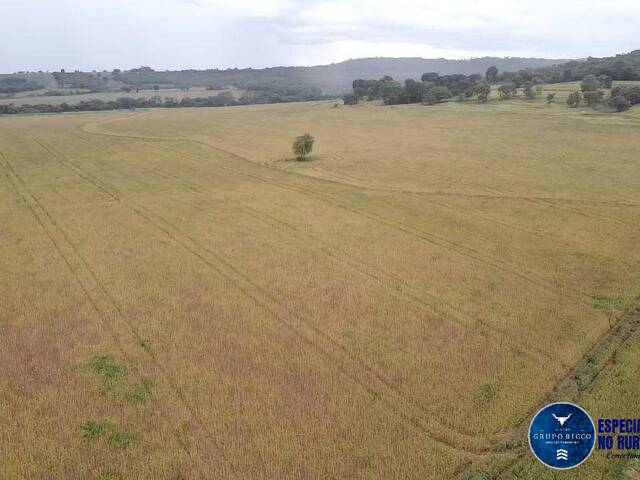 Fazenda para Venda em Rio Verde - 4