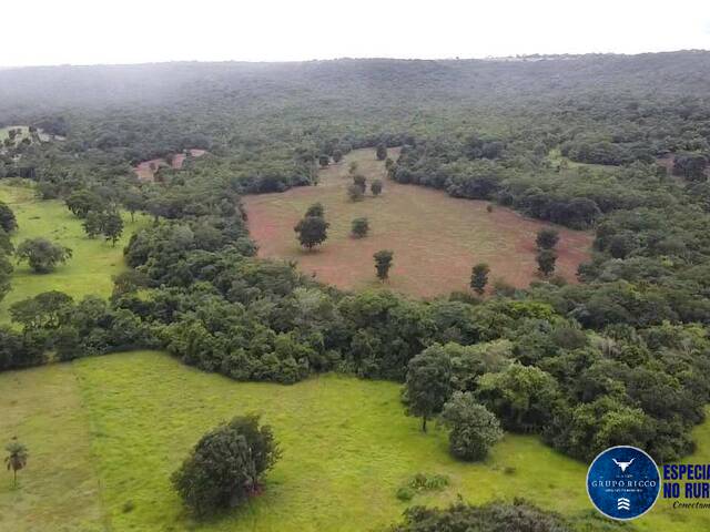 #3317 - Fazenda para Venda em Rio Verde - GO
