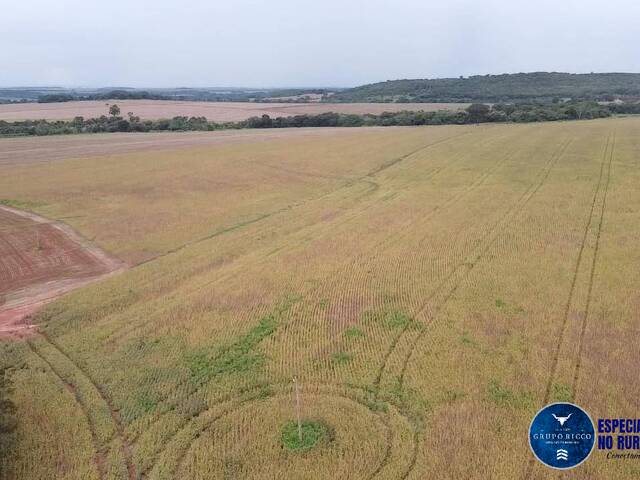 Fazenda para Venda em Rio Verde - 5