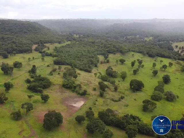 Venda em zona rural - Rio Verde