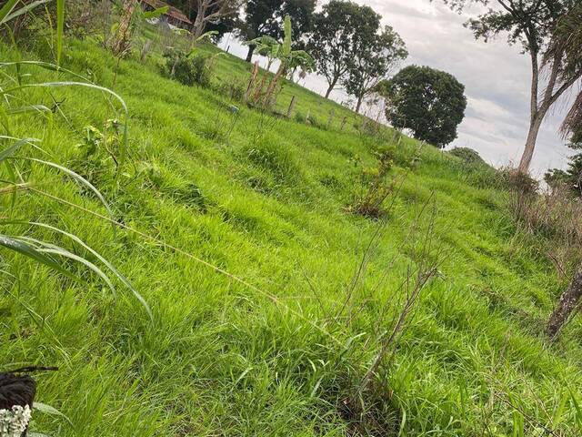 #3319 - Chácara para Venda em Campestre de Goiás - GO