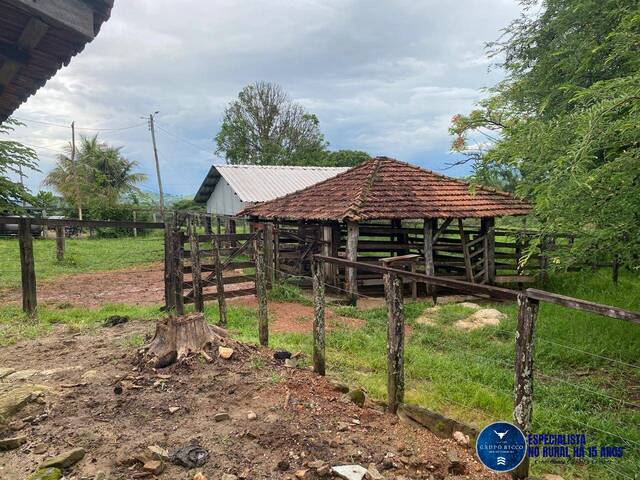 Chácara para Venda em Campestre de Goiás - 4