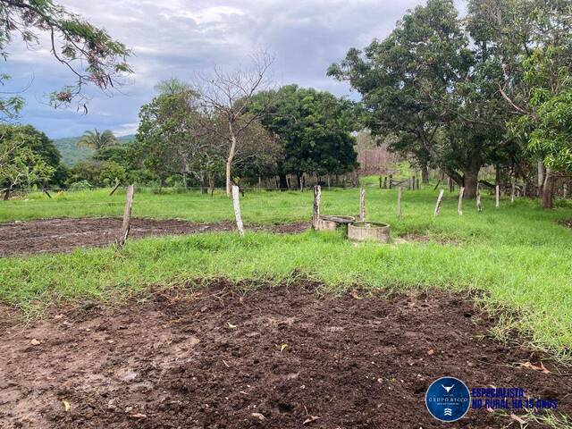 Chácara para Venda em Campestre de Goiás - 5
