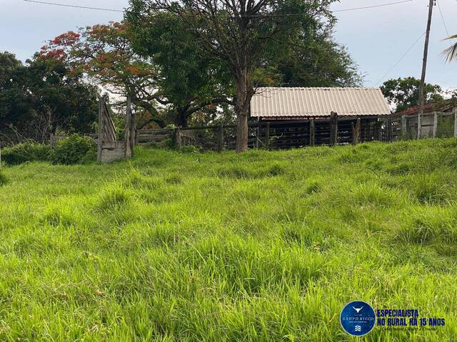 #3319 - Chácara para Venda em Campestre de Goiás - GO