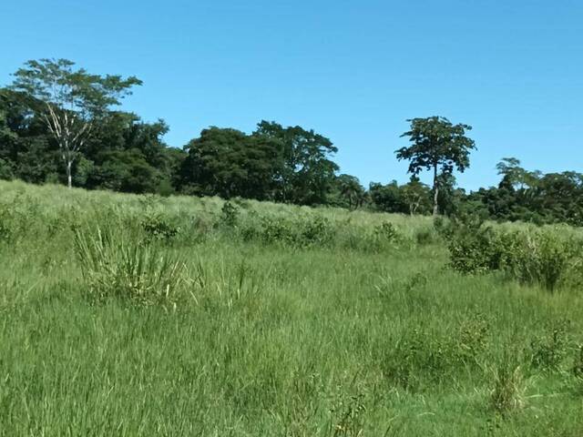 #3322 - Fazenda para Venda em Uirapuru - GO