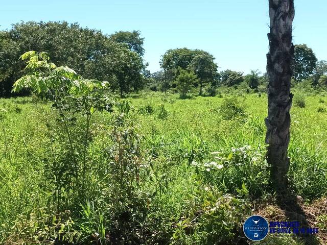 Fazenda para Venda em Uirapuru - 5