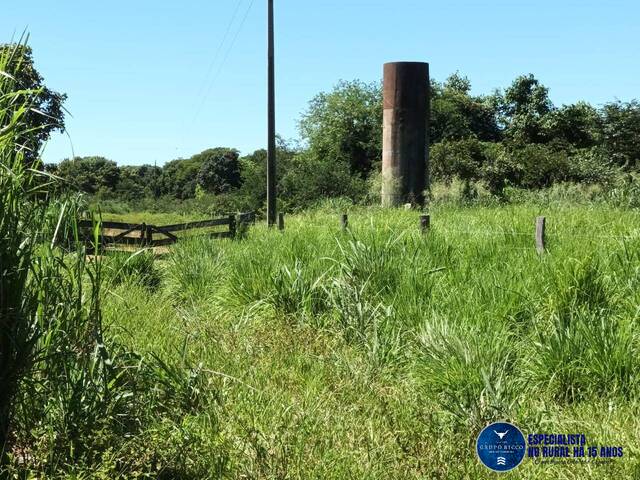 Fazenda para Venda em Uirapuru - 4