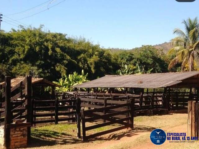 Chácara para Venda em Pirenópolis - 4