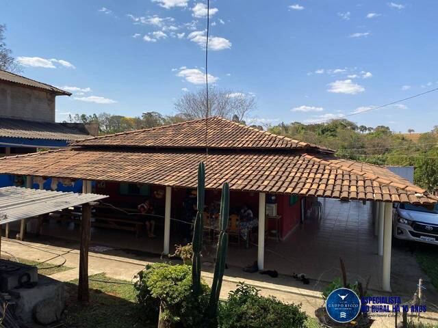 #3324 - Chácara para Venda em Bela Vista de Goiás - GO