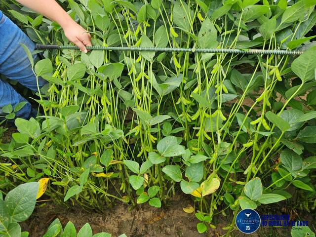 #3325 - Fazenda para Venda em Palmeirante - TO