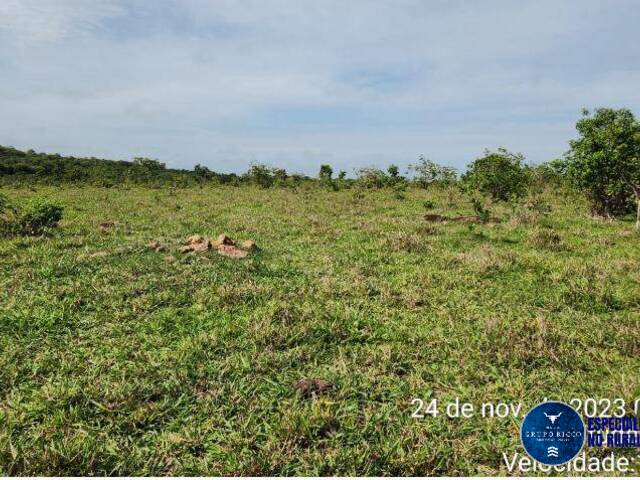 #3326 - Fazenda para Venda em Tesouro - MT