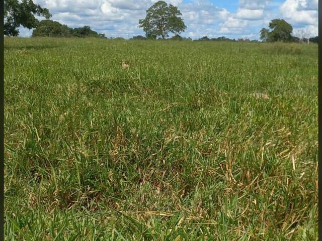 #3329 - Fazenda para Venda em Mozarlândia - GO