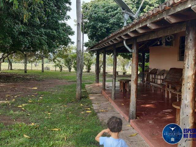 #3329 - Fazenda para Venda em Mozarlândia - GO
