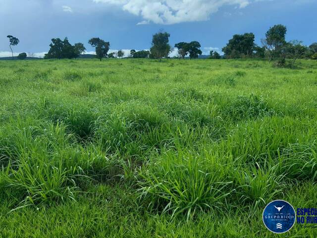 Venda em zona rural - Mozarlândia