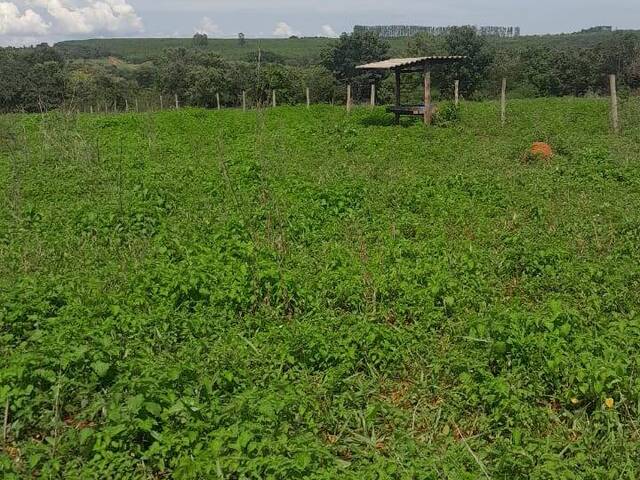 #1130 - Fazenda para Venda em Ivolândia - GO