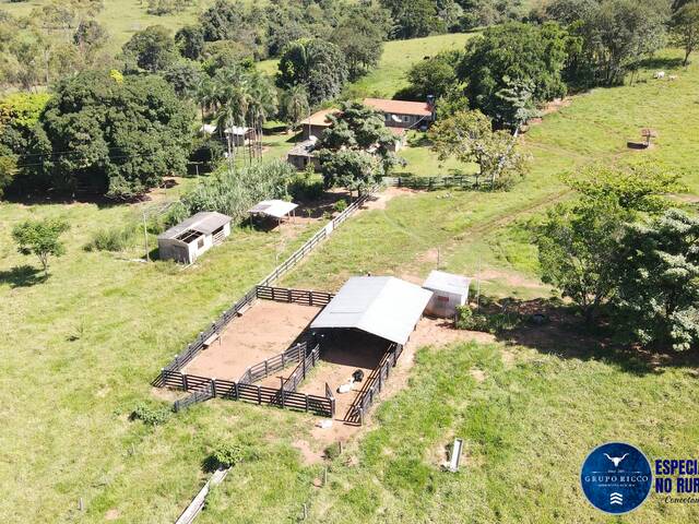 Venda em zona rural - Piracanjuba