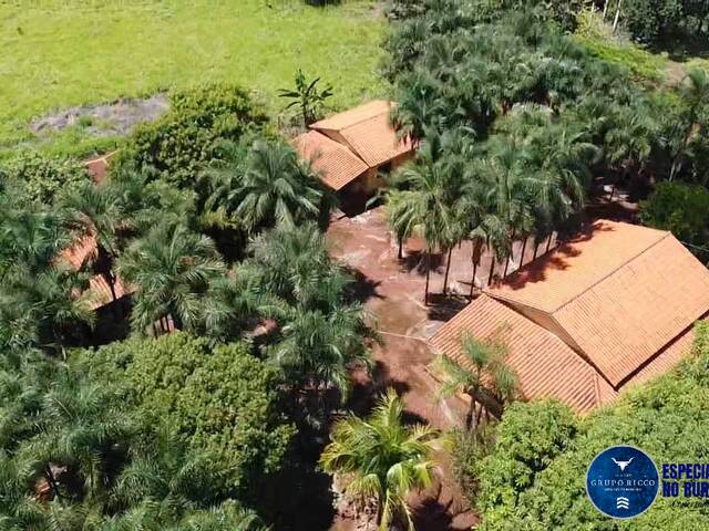 #3333 - Fazenda para Venda em Acreúna - GO