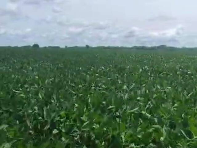 #3333 - Fazenda para Venda em Acreúna - GO