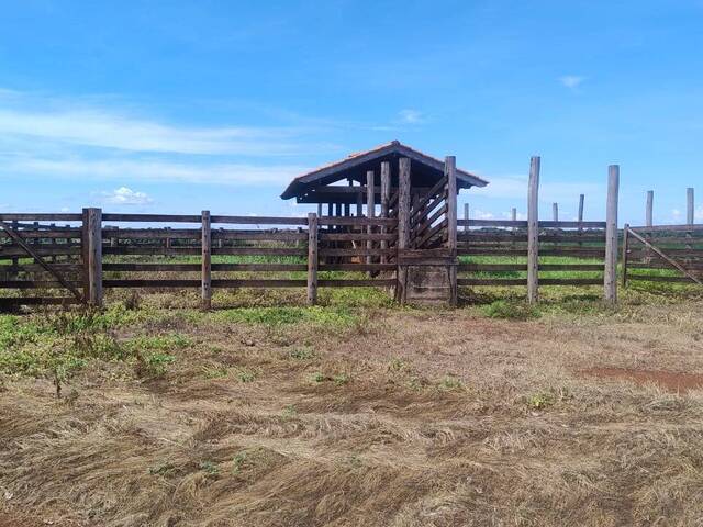 #3333 - Fazenda para Venda em Acreúna - GO