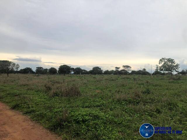#3338 - Fazenda para Venda em Marzagão - GO