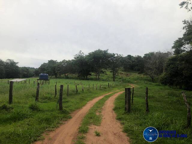 #3338 - Fazenda para Venda em Marzagão - GO