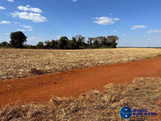 #3339 - Fazenda para Venda em Santa Helena de Goiás - GO
