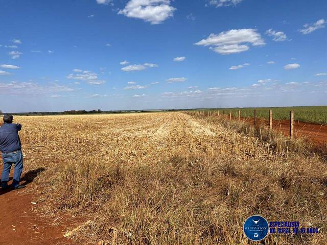 #3339 - Fazenda para Venda em Santa Helena de Goiás - GO