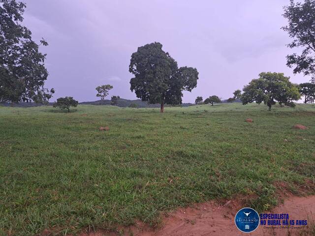 Venda em zona rural - Itapuranga