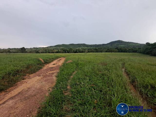 #3346 - Chácara para Venda em Itapuranga - GO