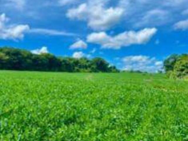 #3347 - Chácara para Venda em Palmeiras de Goiás - GO