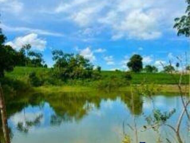 Venda em zona rural - Palmeiras de Goiás