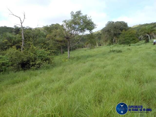 #3349 - Fazenda para Venda em Mozarlândia - GO