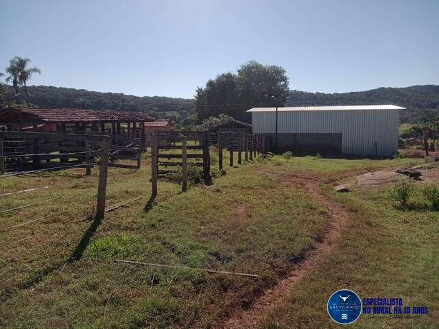 #3350 - Fazenda para Venda em Edealina - GO