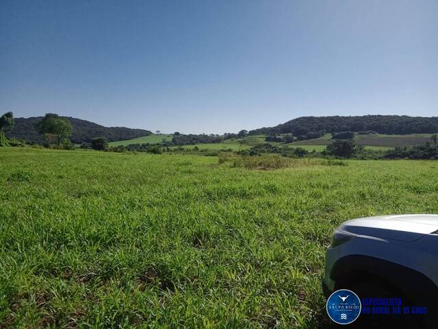 #3350 - Fazenda para Venda em Edealina - GO