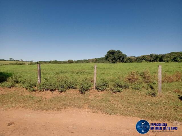 #3350 - Fazenda para Venda em Edealina - GO