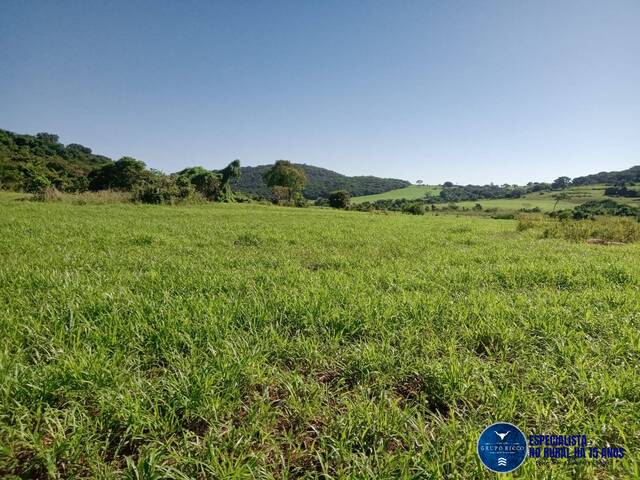 #3350 - Fazenda para Venda em Edealina - GO