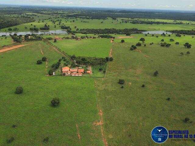 #3356 - Fazenda para Venda em Mundo Novo - GO