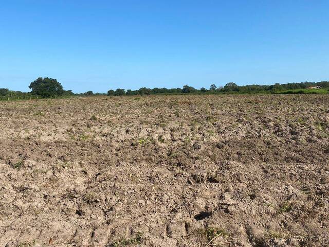 #3357 - Fazenda para Venda em São Miguel do Araguaia - GO