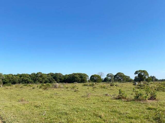 Fazenda para Venda em São Miguel do Araguaia - 5