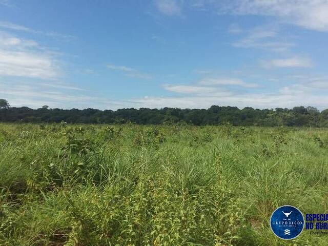 Fazenda para Venda em São Miguel do Araguaia - 4