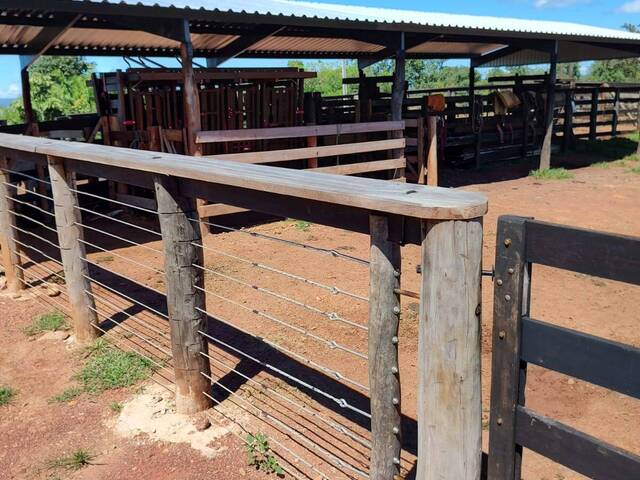 #3360 - Fazenda para Venda em Fazenda Nova - GO