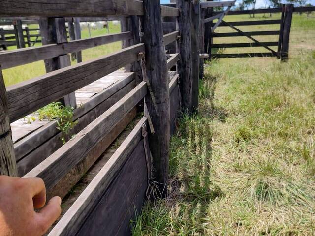 #3360 - Fazenda para Venda em Fazenda Nova - GO